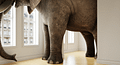 The Elephant In The Housing Market: What The Experts See When The Rest Of Us Aren't Looking